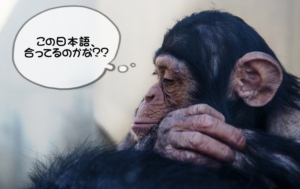 일본어 작문 확인 방법