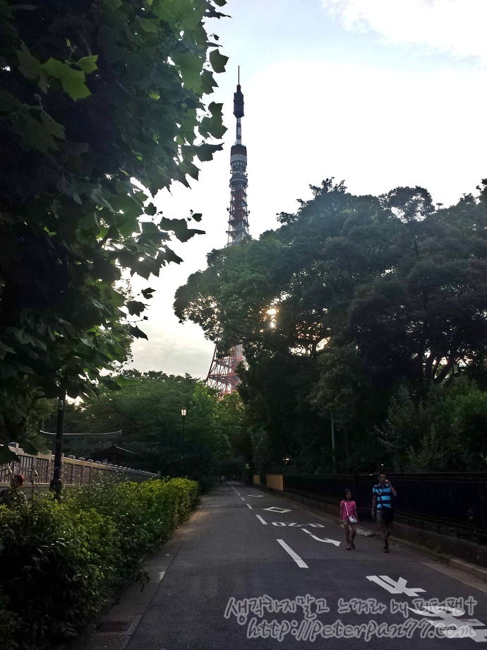 후지코 F 후지오 전시회 藤子F不二雄 展示会 image