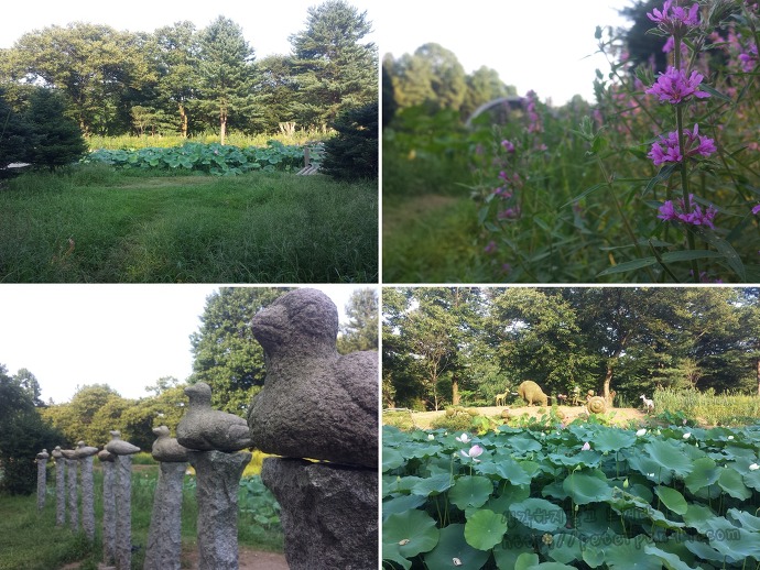 남이섬 나미나라 나미나라공화국 南怡島 ナミソム ナミナラ ナミナラ共和国