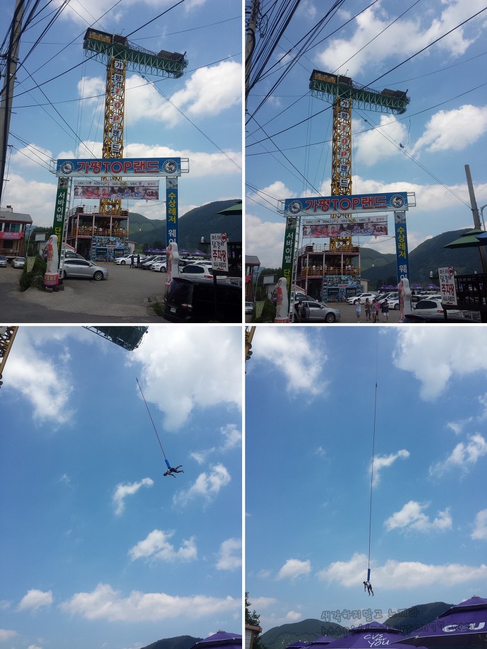 남이섬 나미나라 나미나라공화국 南怡島 ナミソム ナミナラ ナミナラ共和国