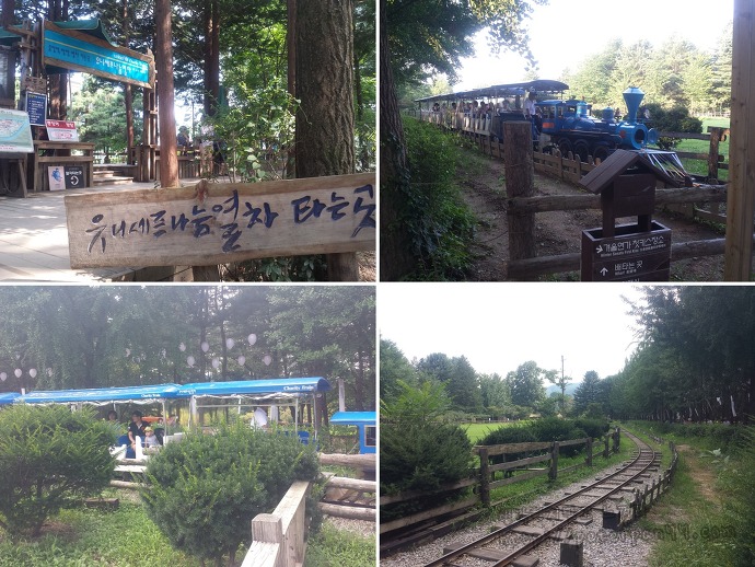 남이섬 나미나라 나미나라공화국 南怡島 ナミソム ナミナラ ナミナラ共和国