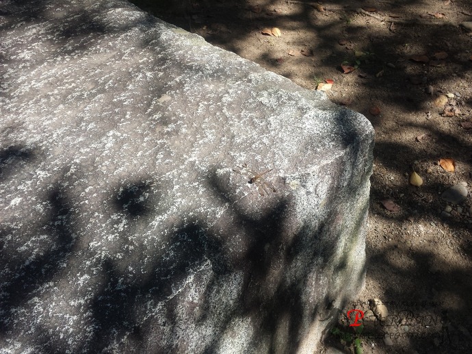 모리오카성 유적공원 盛岡城跡公園 岩手公園