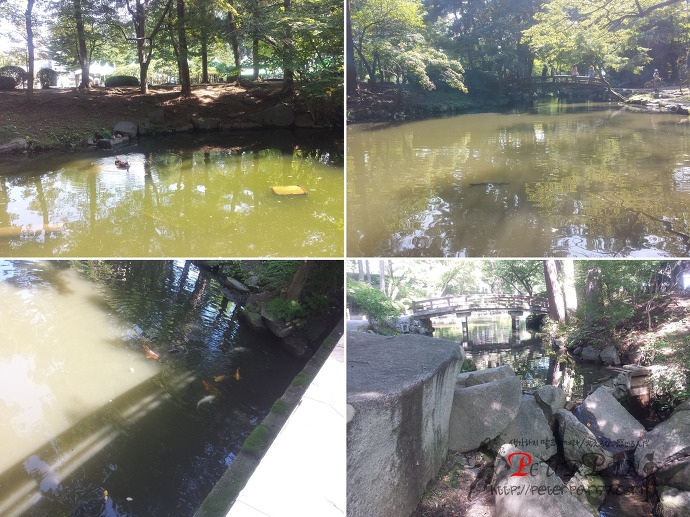 모리오카성 유적공원 盛岡城跡公園 岩手公園