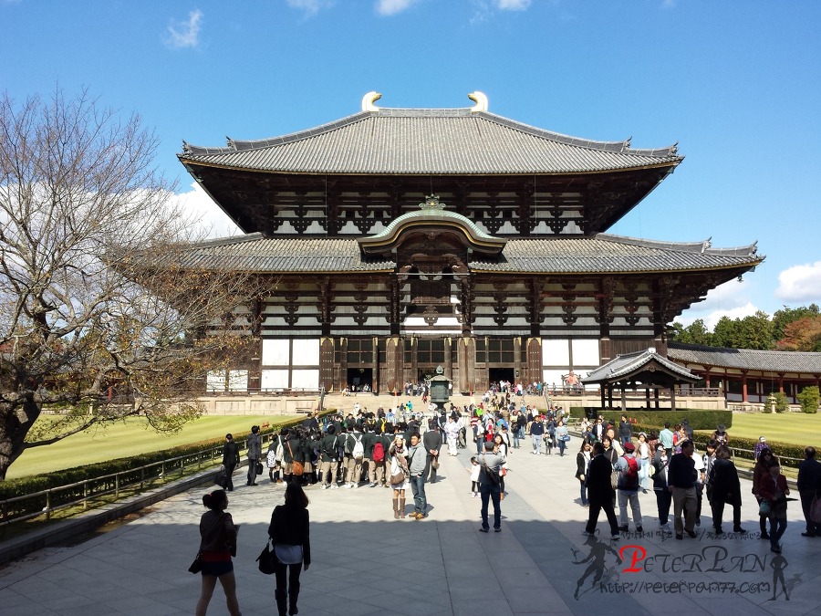 나라 토다이지 奈良 東大寺