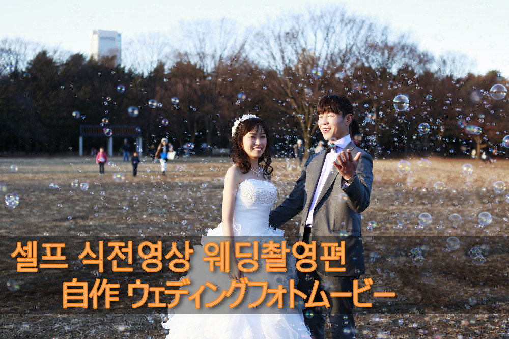 셀프 식전영상 웨딩 自作 ウェディングフォトムービー