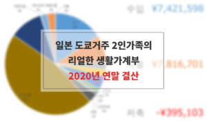 2020년 가계부 연말결산
