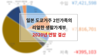 2020년 가계부 연말결산