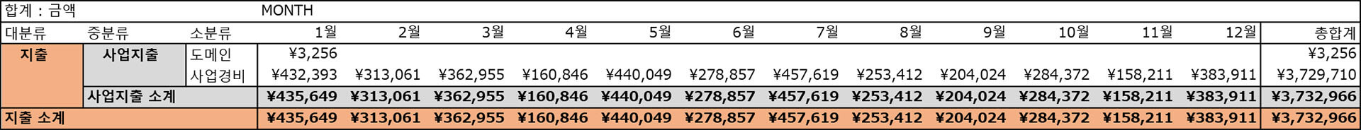 2020년 가계부 연말결산 사업지출 항목