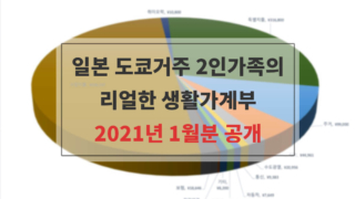 2021년 1월분 가계부 공개
